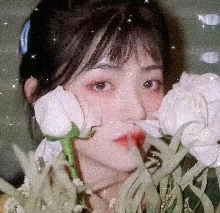 多少爱,可以重来